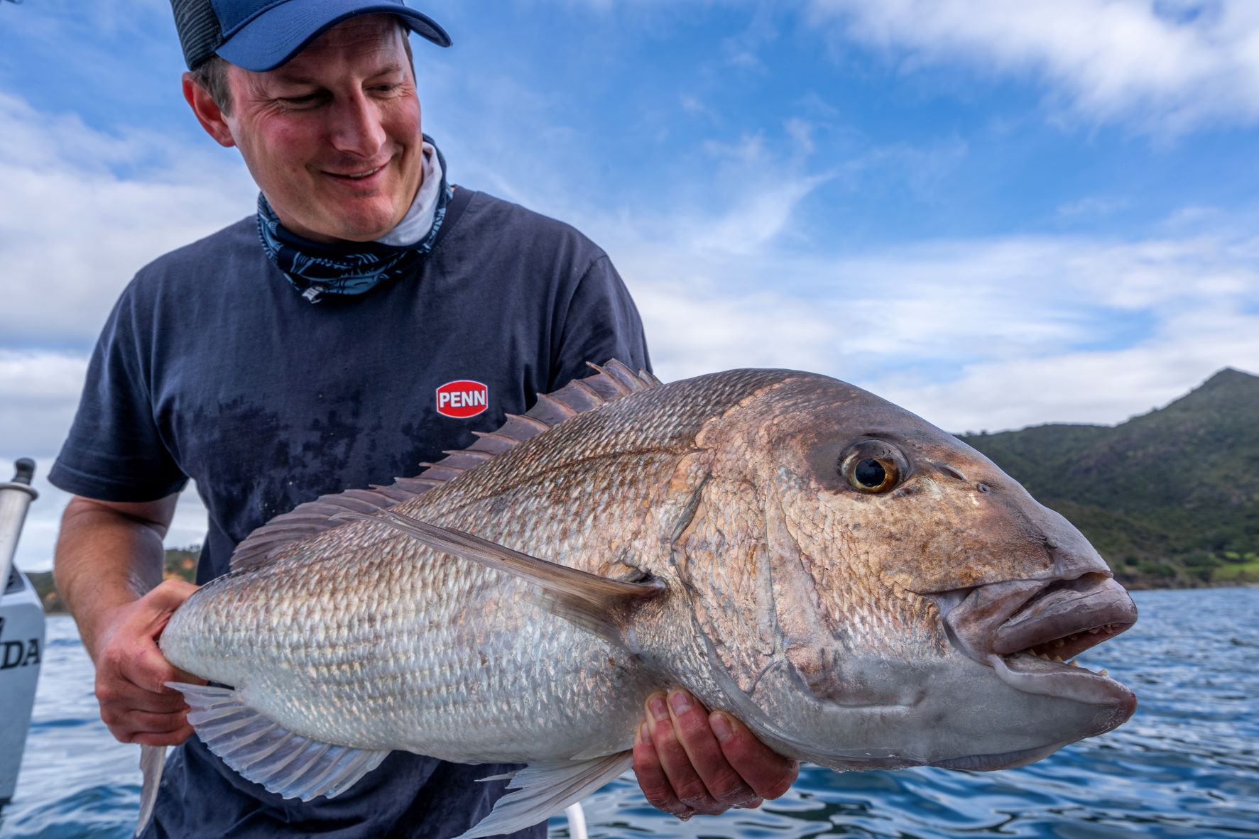 Penn Live Liner vs Shimano Bait Runner? – Hauraki Gulf Fishing